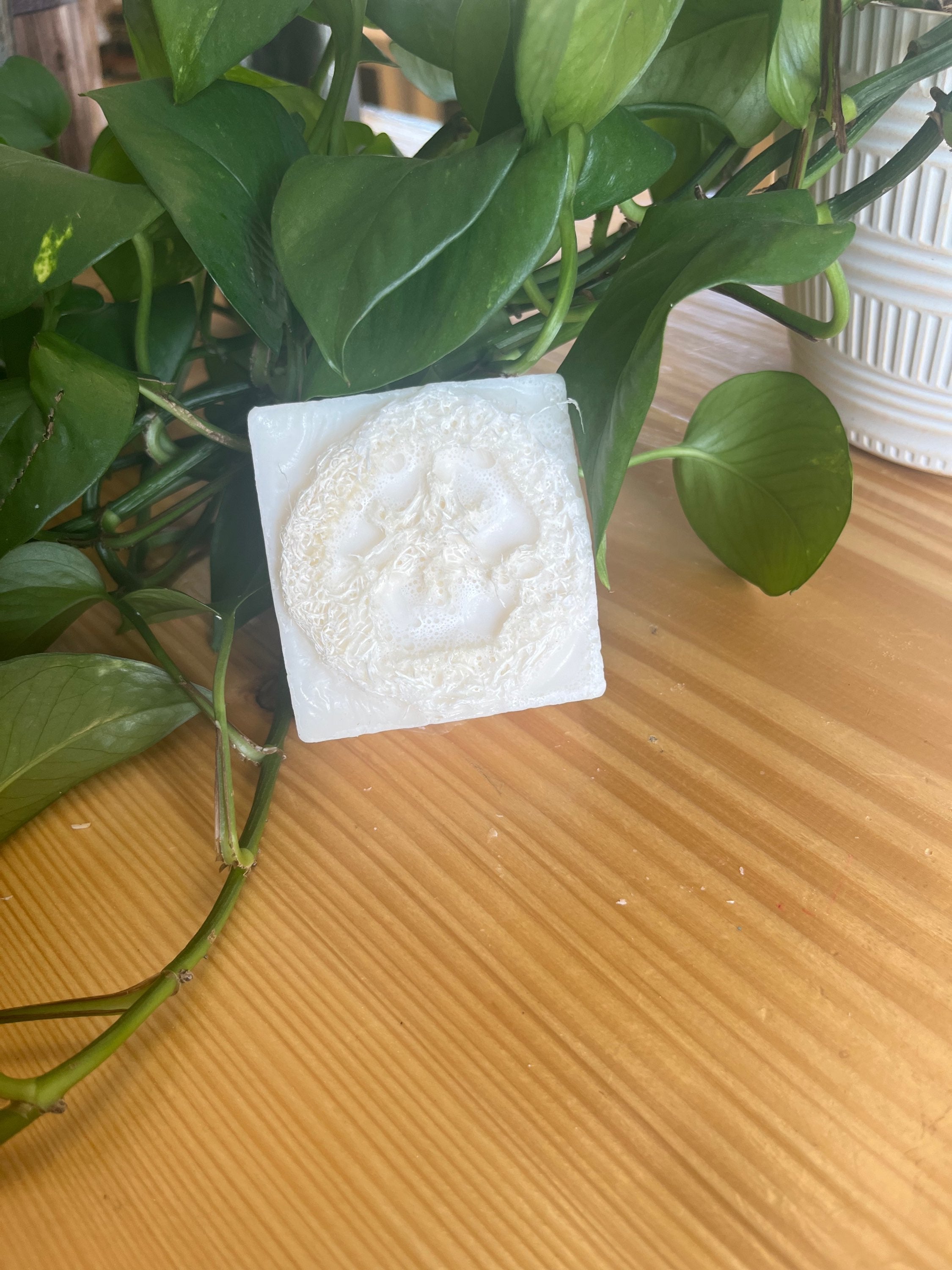 Replenishmint Loofa Soap image 0